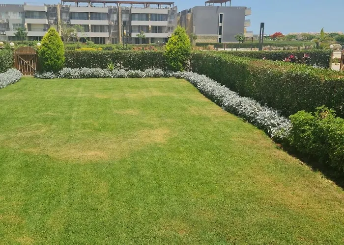 بلومار السخنة